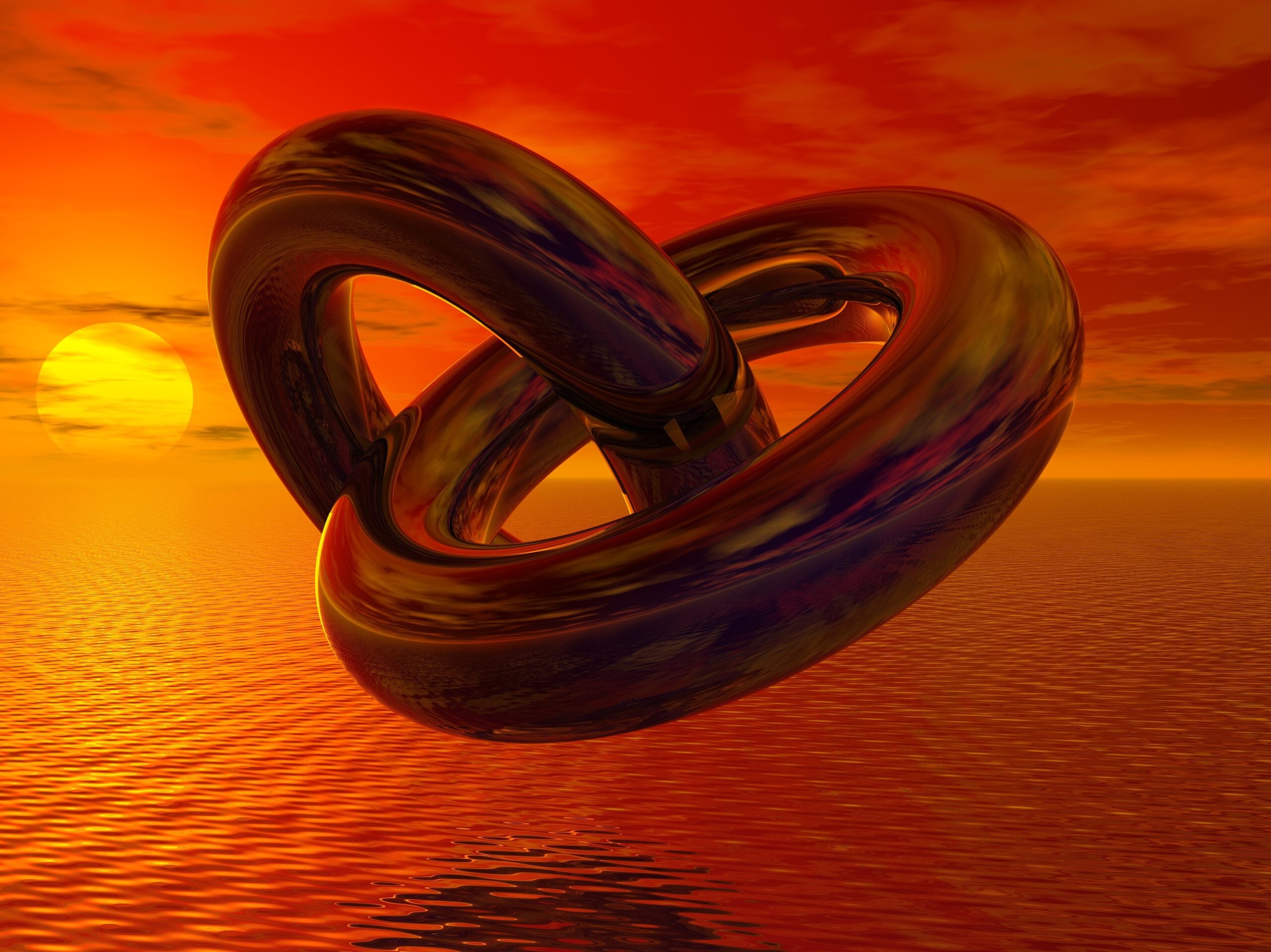 스터디어스 브릿지